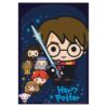 Torebki Harry Potter papier 15.8 x 23.6 cm / 8szt.