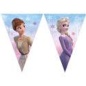 Banner Kraina Lodu, Frozen 2: Wind Spirit, flagi,