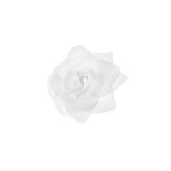 Różyczki do przylepienia , biały 9 cm