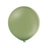 Balony B150 / 17" Pastel Rosemary 25 szt.