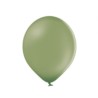 Balony B105 / 12" Pastel Rosemary Green 10 szt.