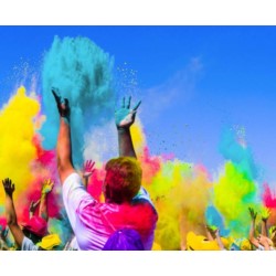 Proszek Holi, pomarańczowy, 70 g